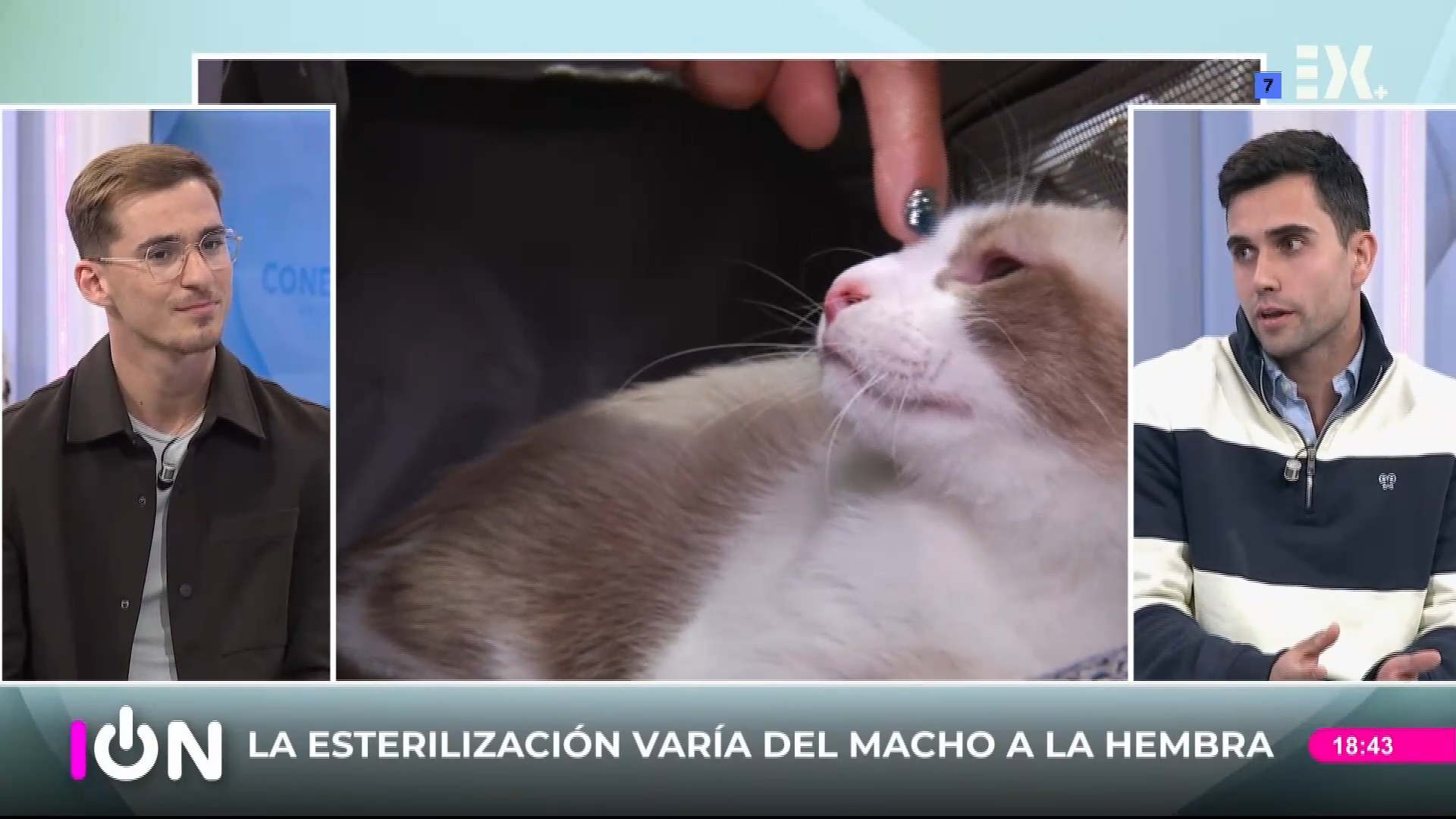 Conexión Extremadura (21/10/2026)