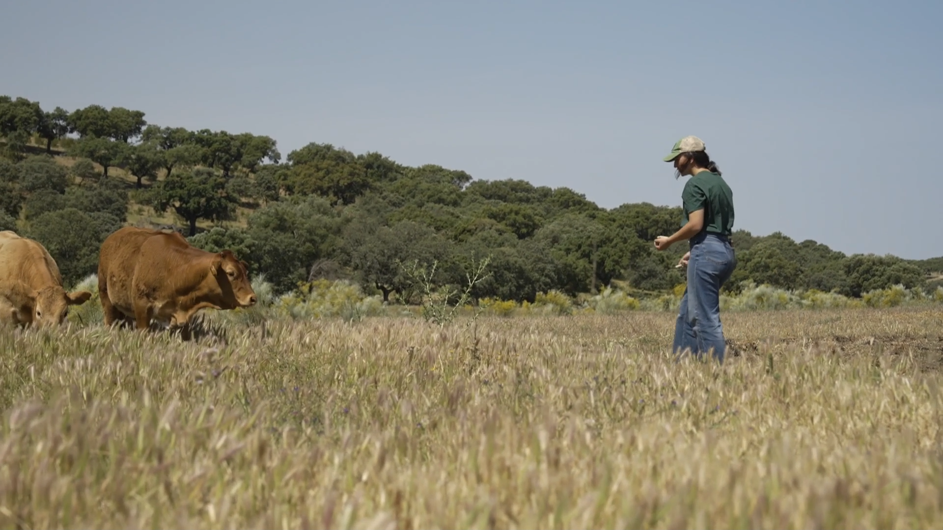 EL CAMPO ES VIDA T6 - 662