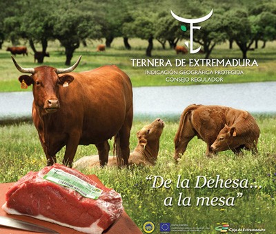 Portada de Con mucho gusto