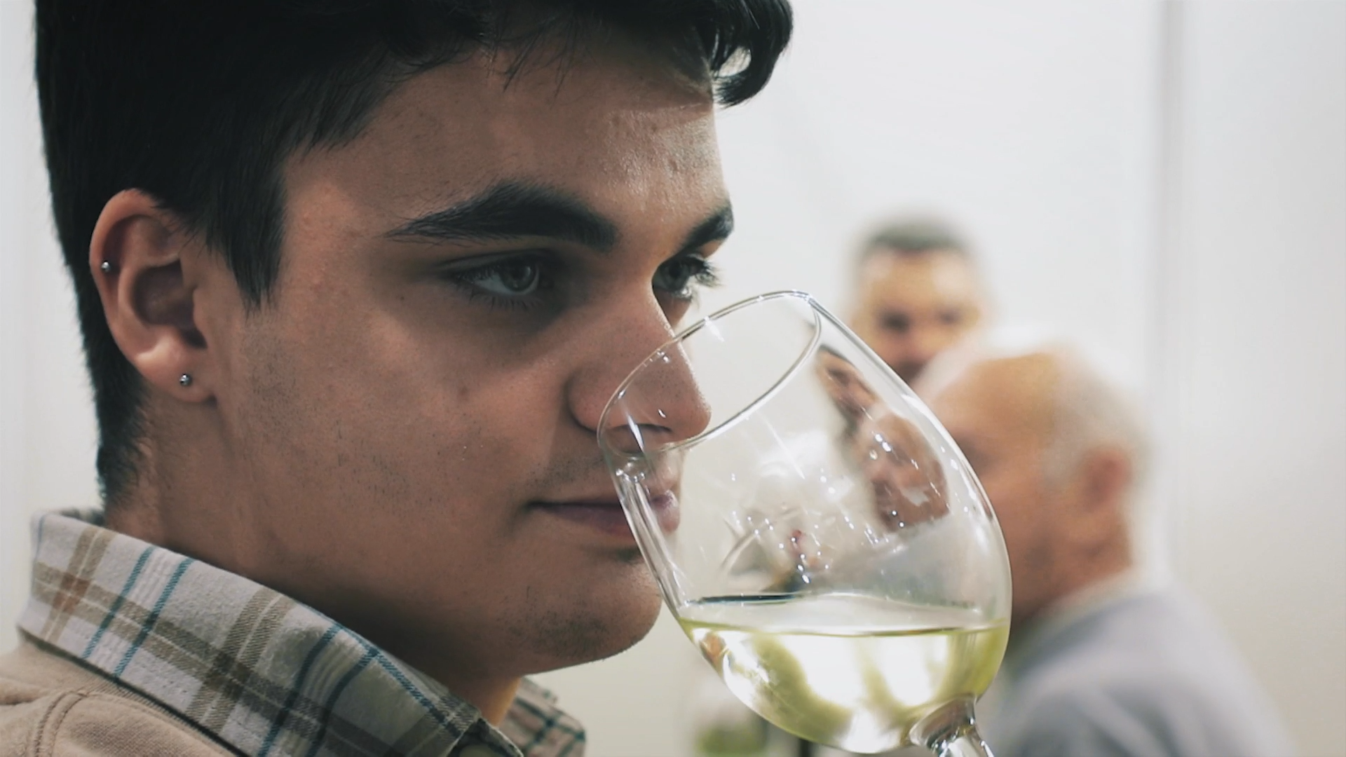 LA BESANA EN VERDE - 209