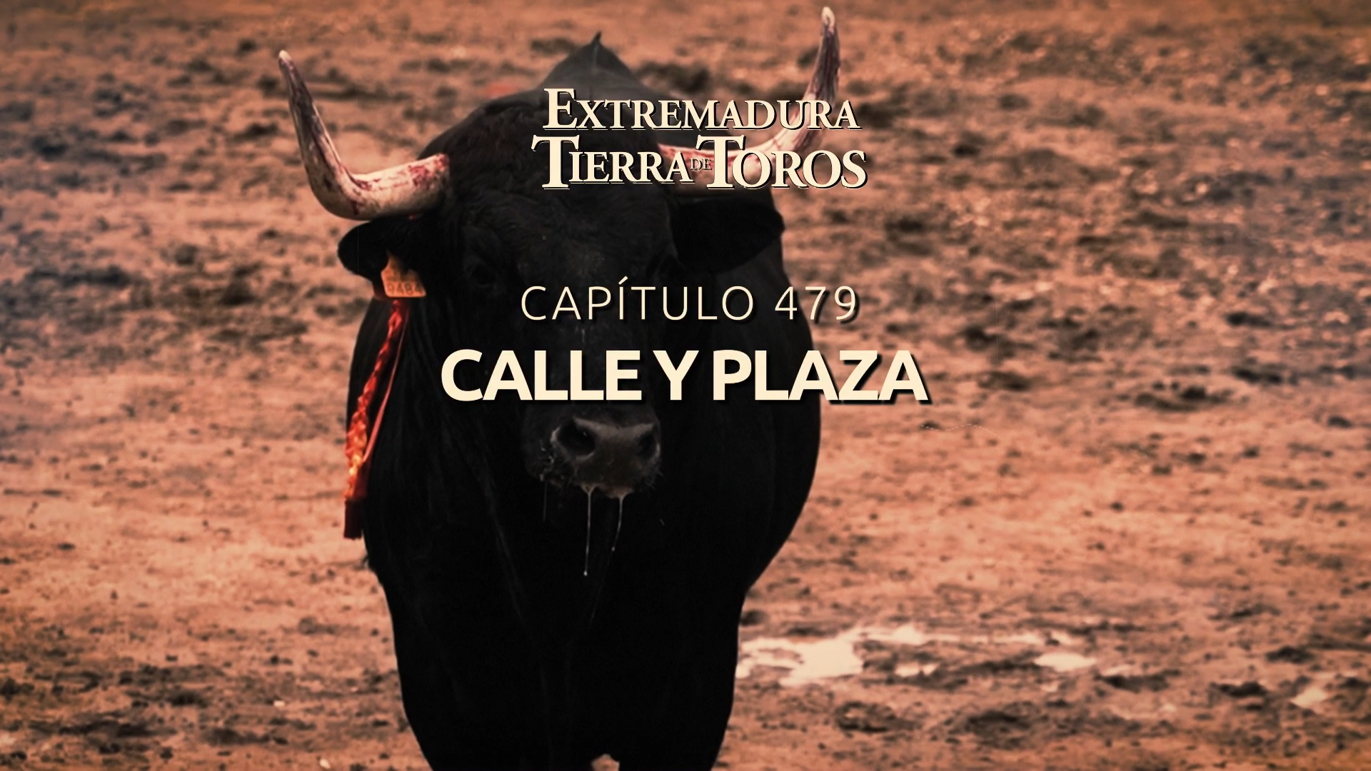 EXTREMADURA, TIERRA DE TOROS  - 104: Calle y Plaza
