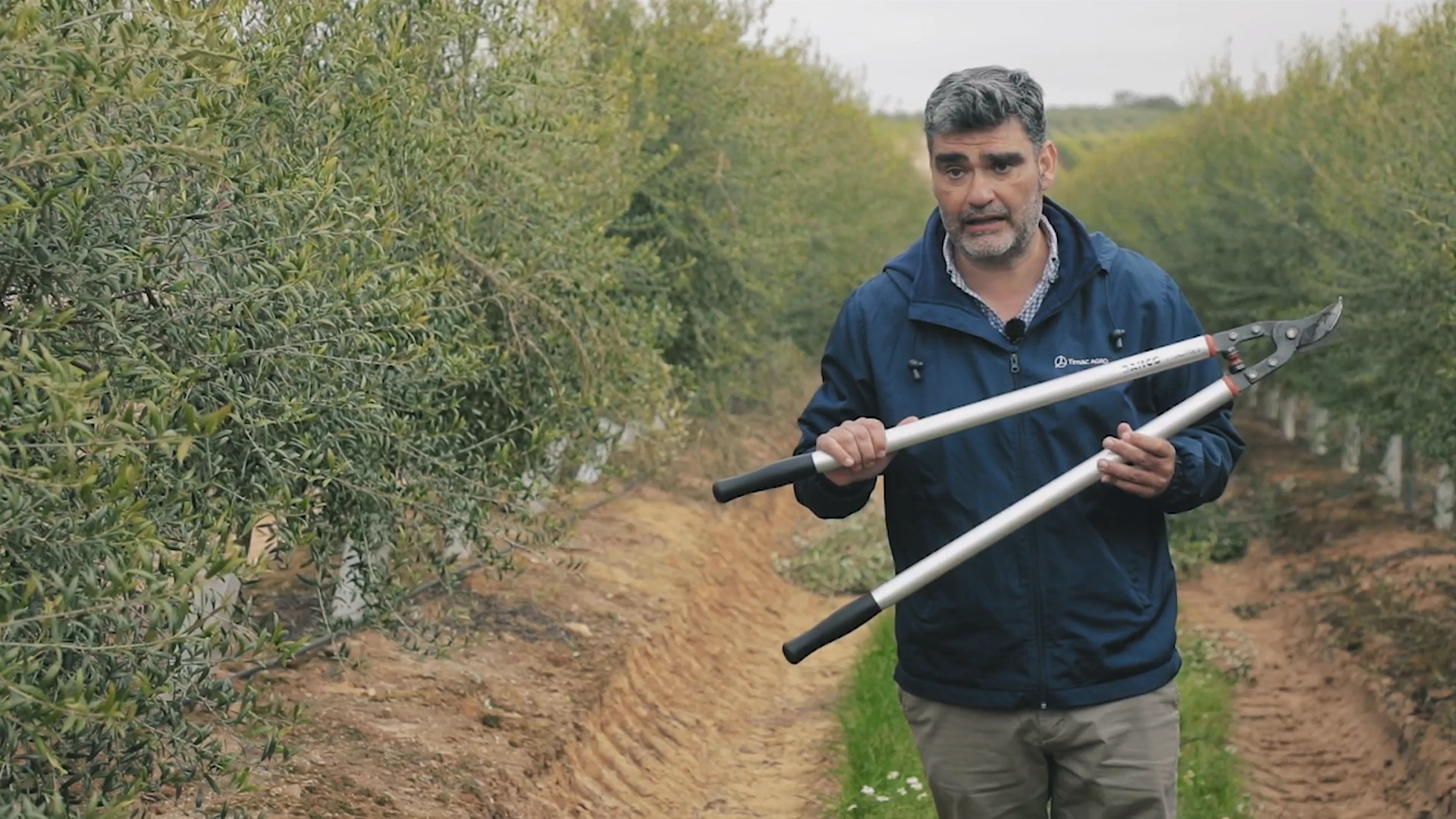 LA BESANA EN VERDE - 212
