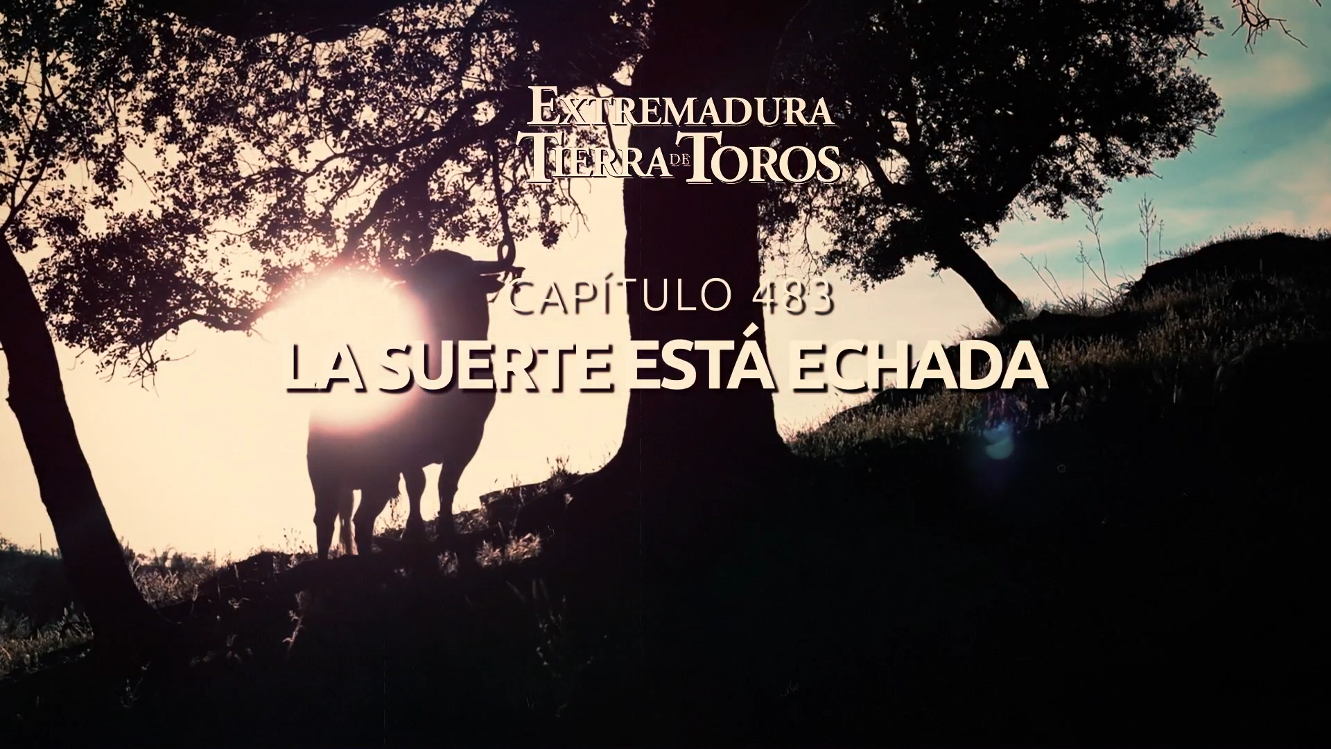 EXTREMADURA, TIERRA DE TOROS  - 108: La suerte está echada
