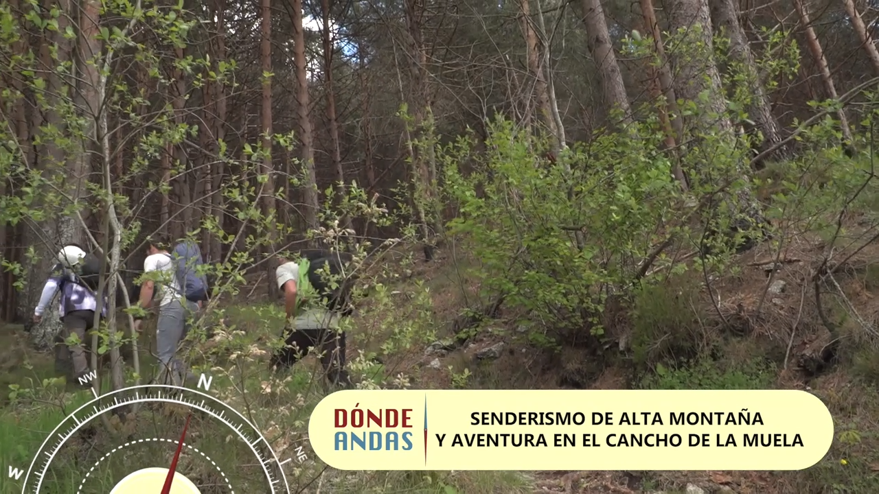 DONDE ANDAS - 97