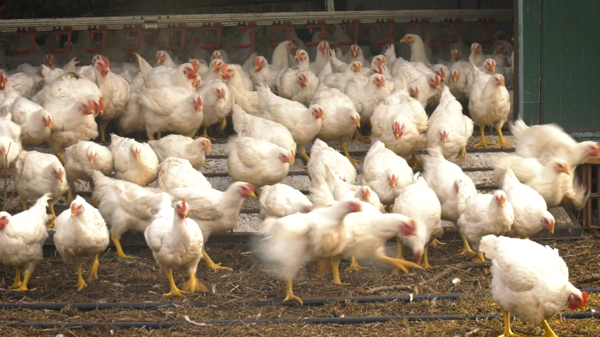 INFORME EXTREMADURA T11 - 177: Sembrando futuro