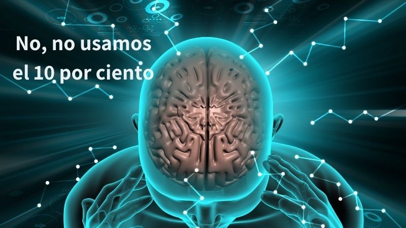 Portada de Las perras de Pavlov