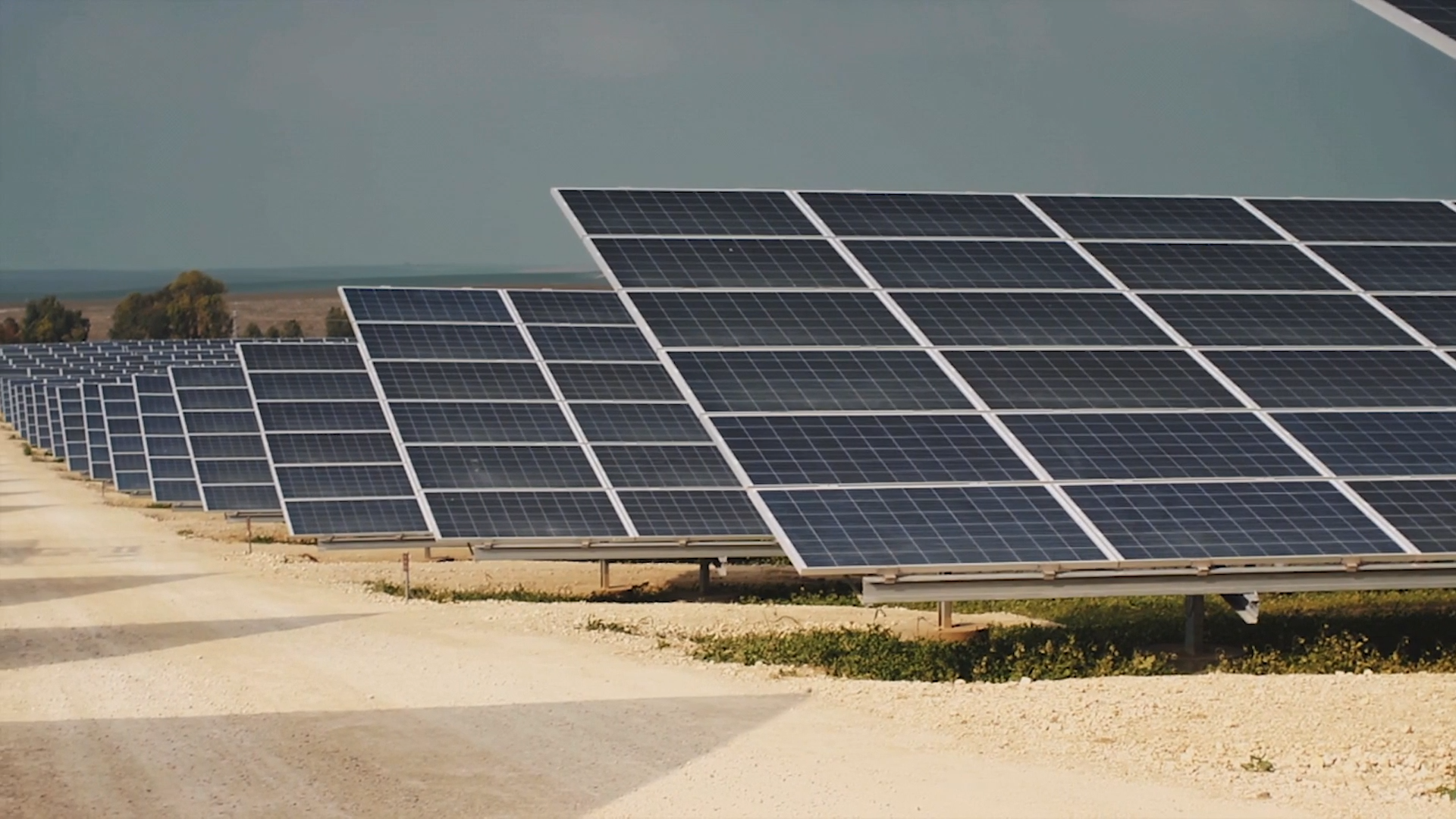 LA BESANA EN VERDE - 211