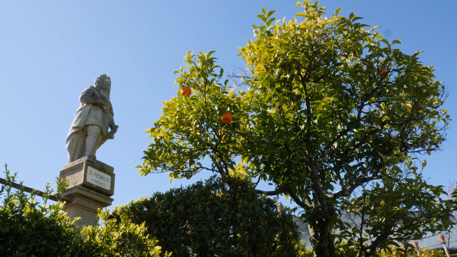 BIENVINDOS RAIANDO FRONTERAS (T1) - 10: El sendero de agua. Castelo Branco y Cedillo