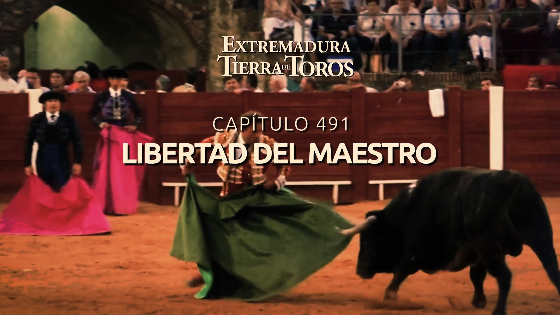 EXTREMADURA, TIERRA DE TOROS  - 116: Libertad del maestro