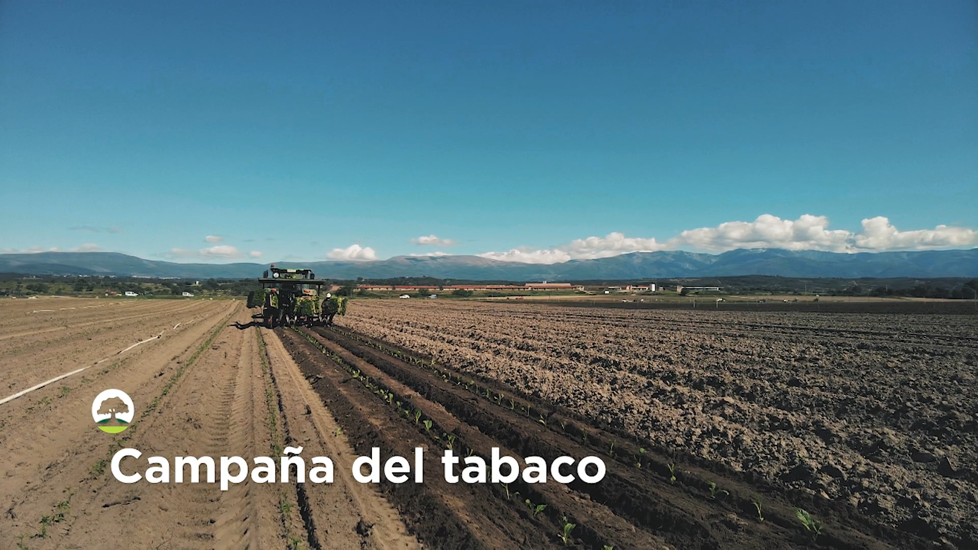 LA BESANA EN VERDE - 215