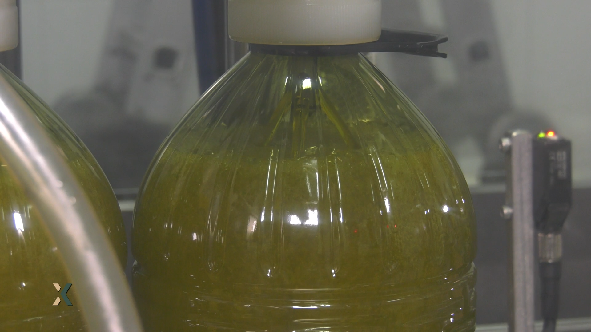 INFORME EXTREMADURA T11 - 179: Dentro o fuera