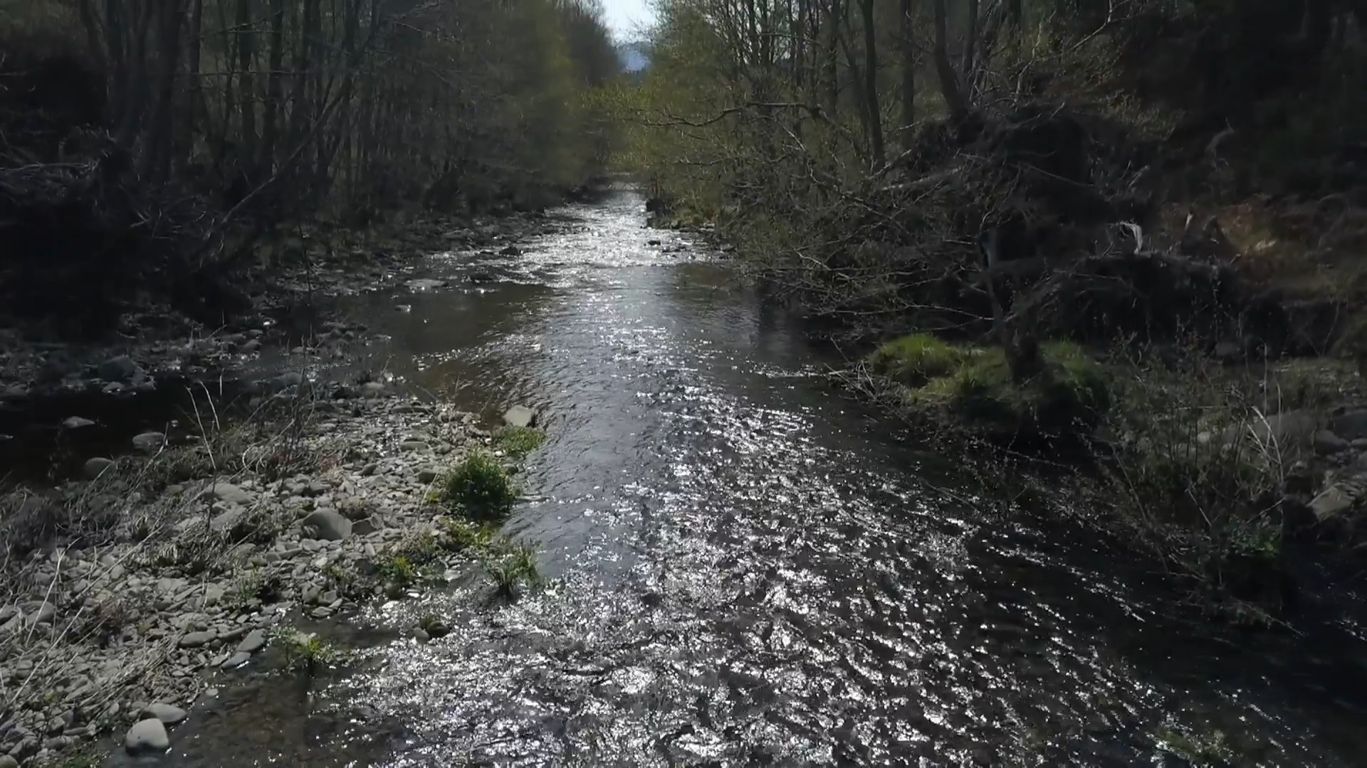 EL LINCE CON BOTAS 3.0 (T25) - 479: El Meandro del Melero