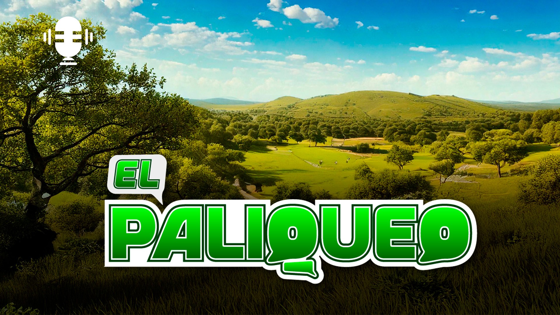 El Paliqueo (13/04/2025)