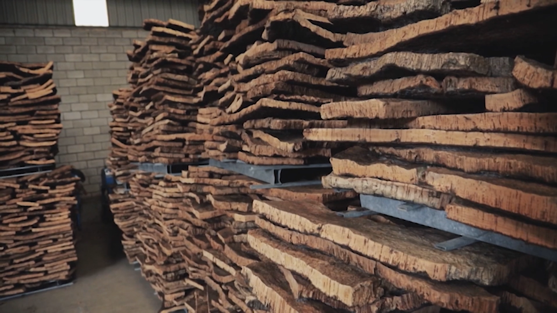 LA BESANA EN VERDE - 207